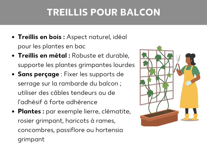Infographie avec quatre points clés sur les treillis de balcon : treillis en bois (aspect naturel, idéal pour les plantes en pot), treillis en métal (robuste et durable, pour les plantes grimpantes lourdes), fixation sans percer (supports à pinces, câbles tendus ou adhésif) et plantes adaptées (ex. lierre, clématite, rosier grimpant, haricots à rames, concombres, passiflore, hortensia grimpant). À droite, illustration d'une femme portant un tablier jaune et des gants de jardinage à côté d'un treillis avec une plante grimpante dans une jardinière de balcon.