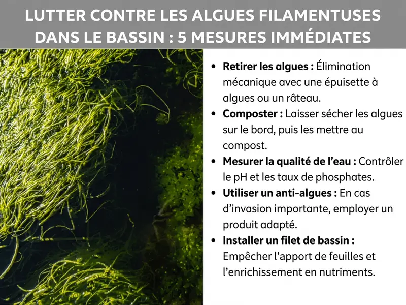 Infographie « Éliminer les algues filamenteuses dans un bassin : 5 mesures d'urgence » avec gros plan d'algues vertes filamenteuses dans l'eau et cinq points clés : retirer les algues, les composter, mesurer la qualité de l'eau, utiliser un anti-algues, installer un filet de bassin.