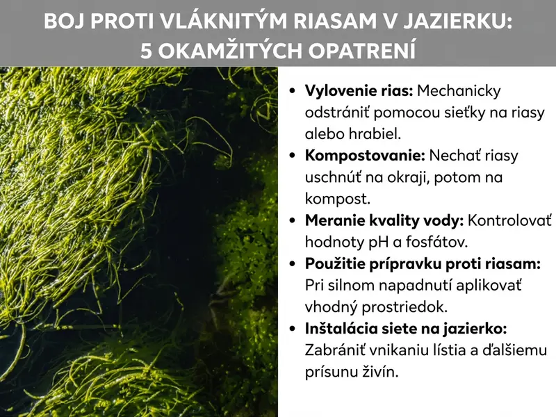 Infografika „Vláknité riasy v jazierku: 5 okamžitých opatrení" s detailným záberom zelených vláknitých rias vo vode a piatimi bodmi: vyloviť riasy, kompostovať, zmerať kvalitu vody, použiť prípravok proti riasam, nasadiť sieť na jazierko.