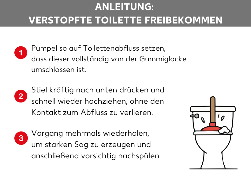 Infografik: Anleitung: Verstopfte Toilette freibekommen. Eine Toilette mit einem Pümpel, daneben folgende Punkte: 1. Pümpel so auf Toilettenabfluss setzen, dass dieser vollständig von der Gummiglocke umschlossen ist. 2. Stiel kräftig nach unten drücken und schnell wieder hochziehen, ohne den Kontakt zum Abfluss zu verlieren. 3. Vorgang mehrmals wiederholen, um starken Sog zu erzeugen und anschließend vorsichtig nachspülen.