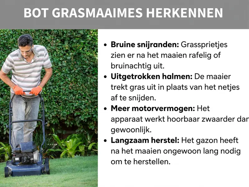 Infographic: zo herken je een bot grasmaaiermes. Links een foto van een persoon met veiligheidsbril en oranje handschoenen die een zwarte benzinegrasmaaier over een verzorgd gazon voor een groene haag duwt. Rechts een lijst met vier punten: 1. Bruine snijranden: grashalmen zien er na het maaien gerafeld of bruinig uit. 2. Uitgetrokken halmen: de maaier trekt gras los in plaats van het netjes te snijden. 3. Meer motorvermogen: het apparaat werkt hoorbaar zwaarder dan normaal. 4. Traag herstel: het gazon heeft na het maaien ongewoon lang nodig om te herstellen.