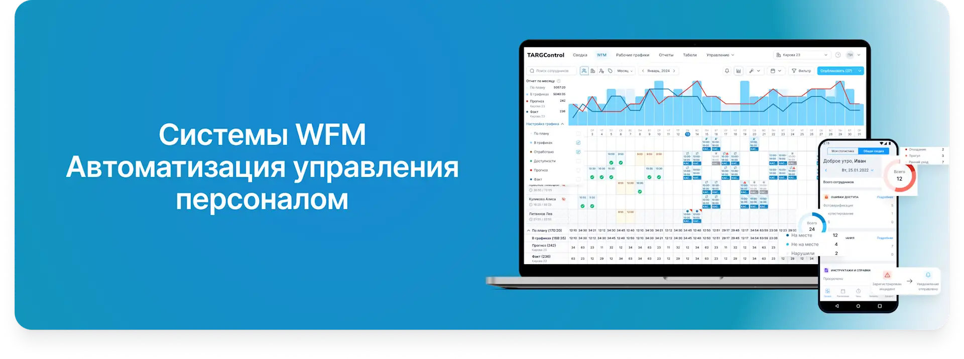 top-luchshikh-wfm-sistem.png