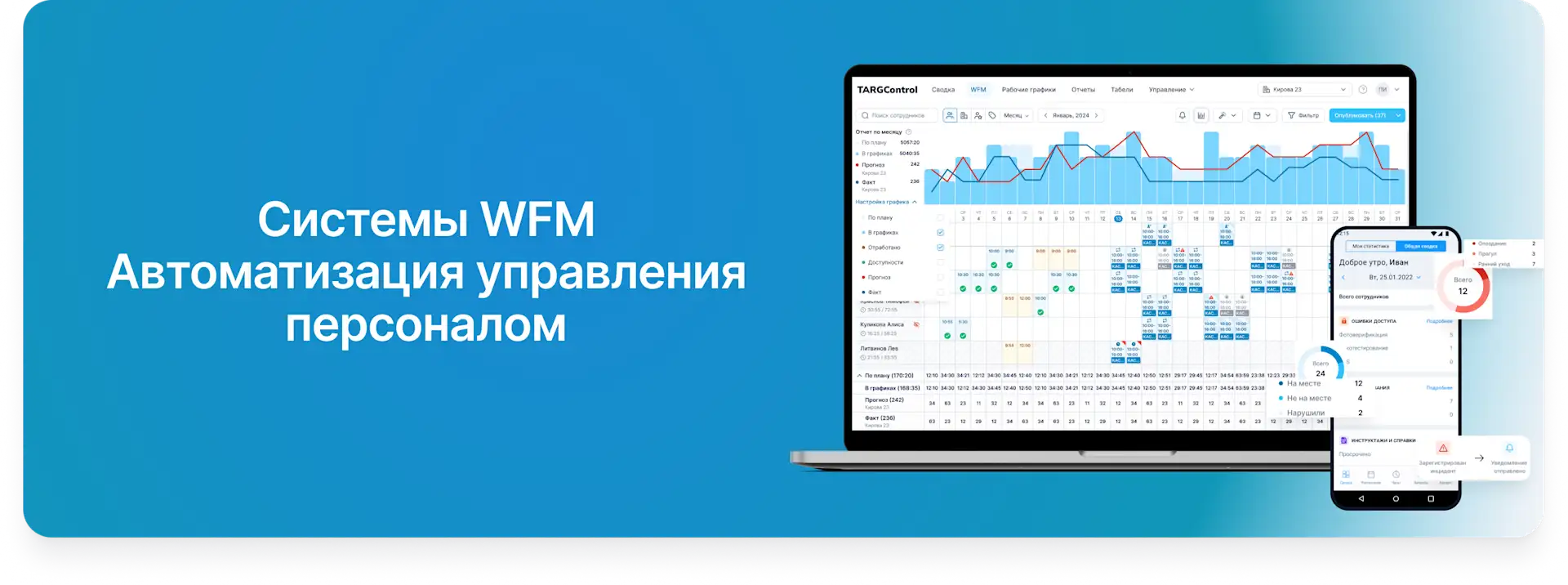 top-luchshikh-wfm-sistem.png