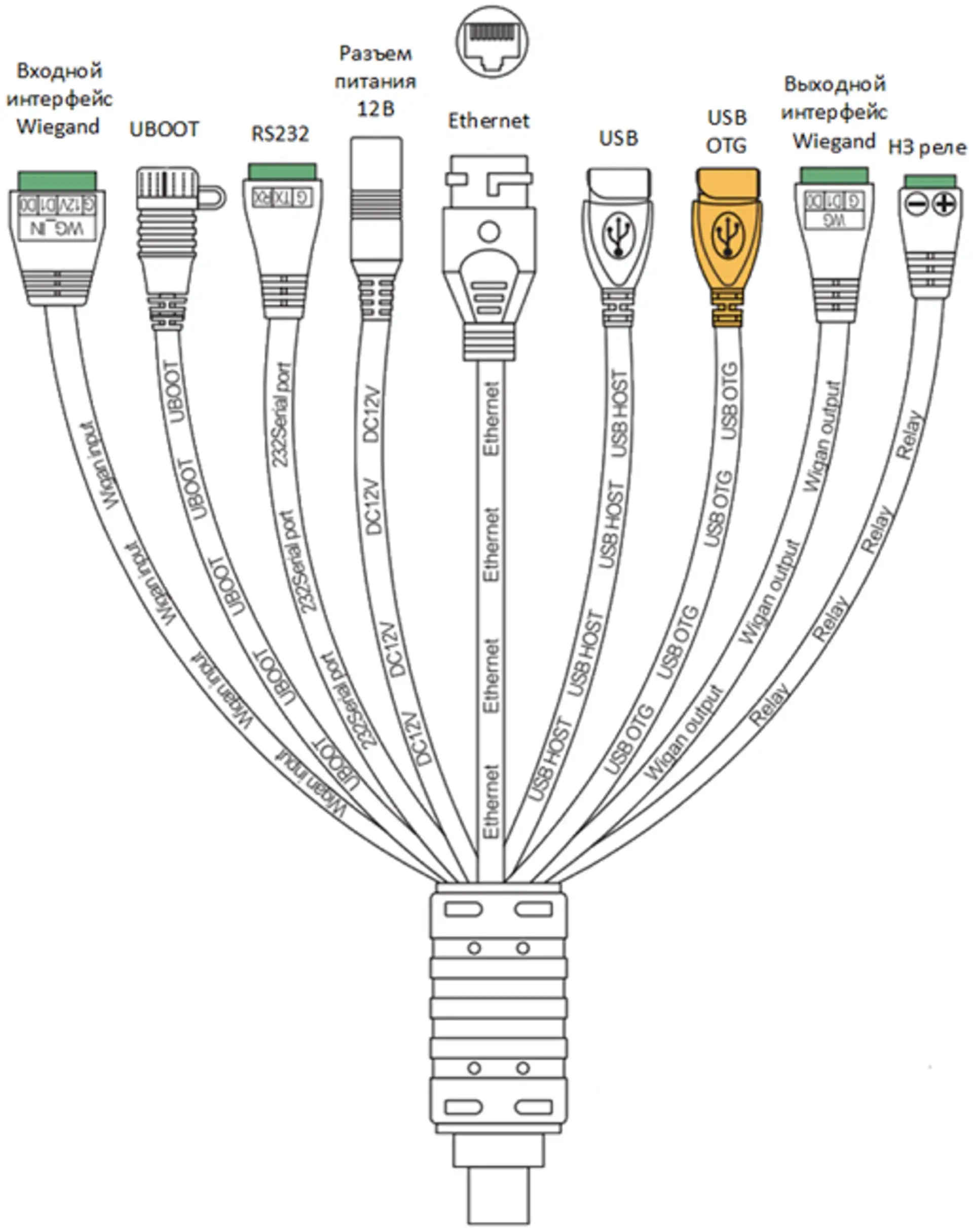 Разъёмы терминала TARGControl F1