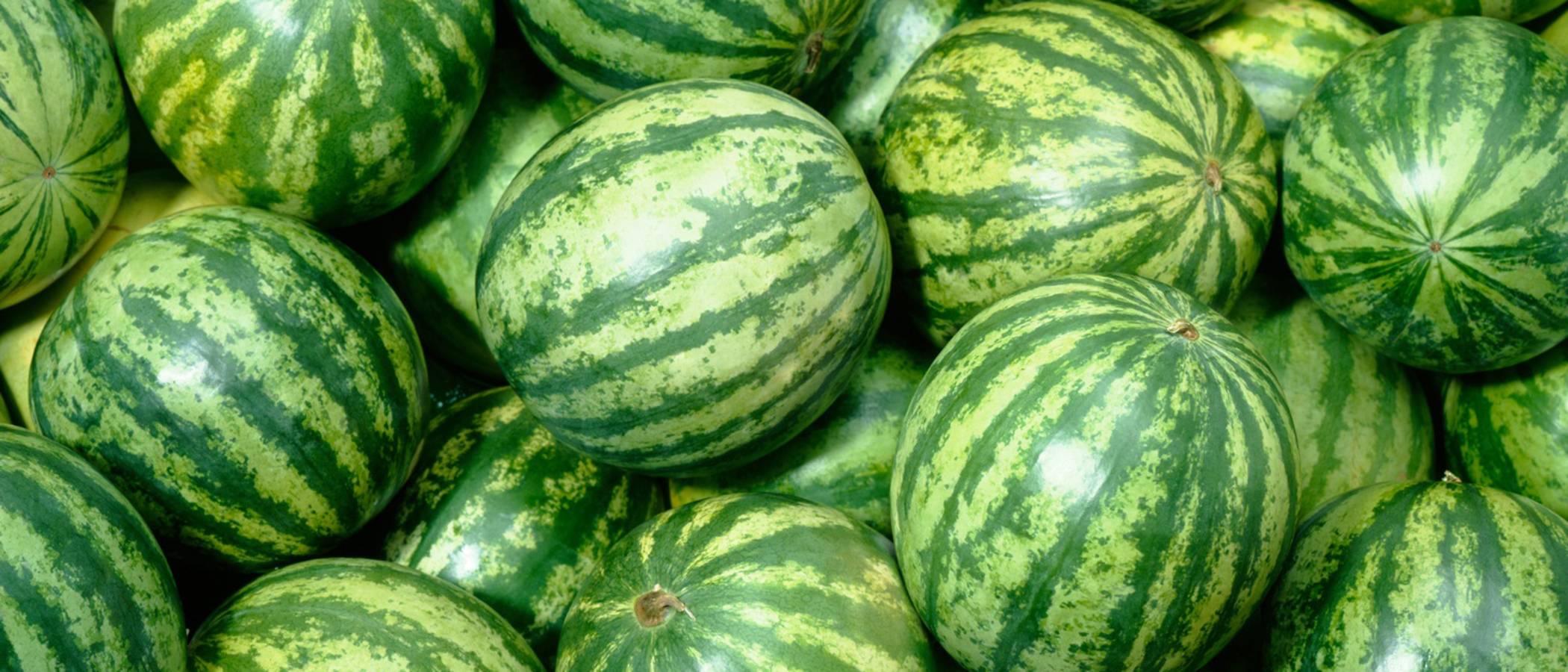 Wann ist Wassermelone reif • Migros