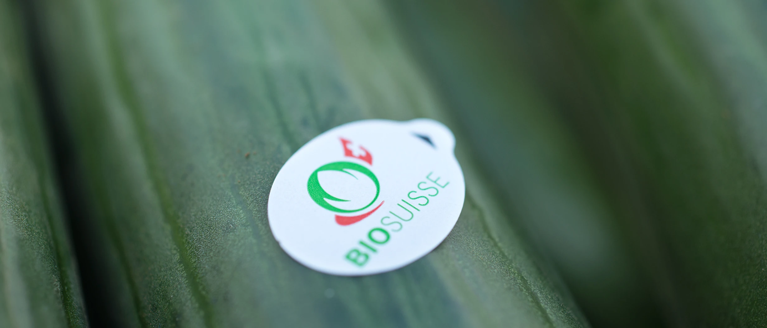 Migros Bio Produkte Bio Suisse Knospe Zertifiziert Migros migros-bio-produkte-bio-suisse-knospe-zertifiziert-migros