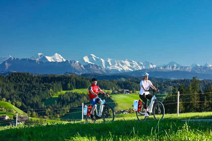 klapprad victoria Scalyo 3 Refurbished E-Bike antiallergischer Farbe:Royal-Blau Mountain Bike Merida Crossway