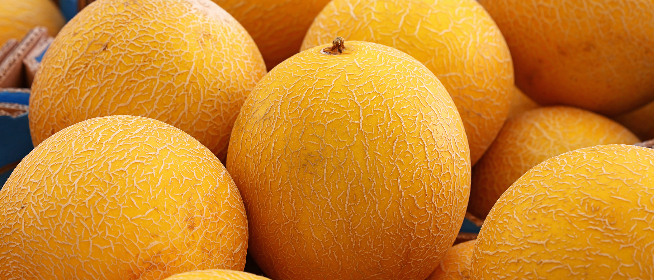 Wann ist die Melone reif? • Migros