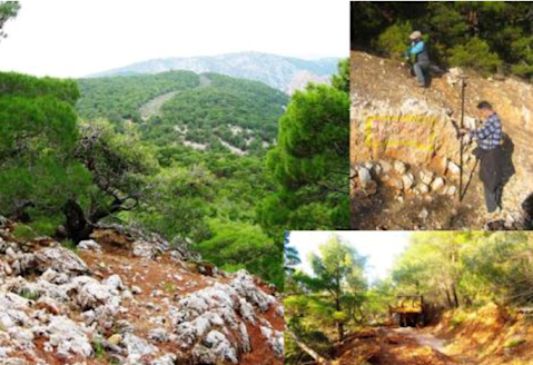 Ένα κολάζ που δείχνει μια καταπράσινη δασωμένη ορεινή περιοχή, άτομα που εργάζονται σε μια βραχώδη πλαγιά και ένα κίτρινο κατασκευαστικό όχημα σε ένα δασικό μονοπάτι, που απεικονίζει έργα αναδάσωσης και δασικής οδοποιίας.