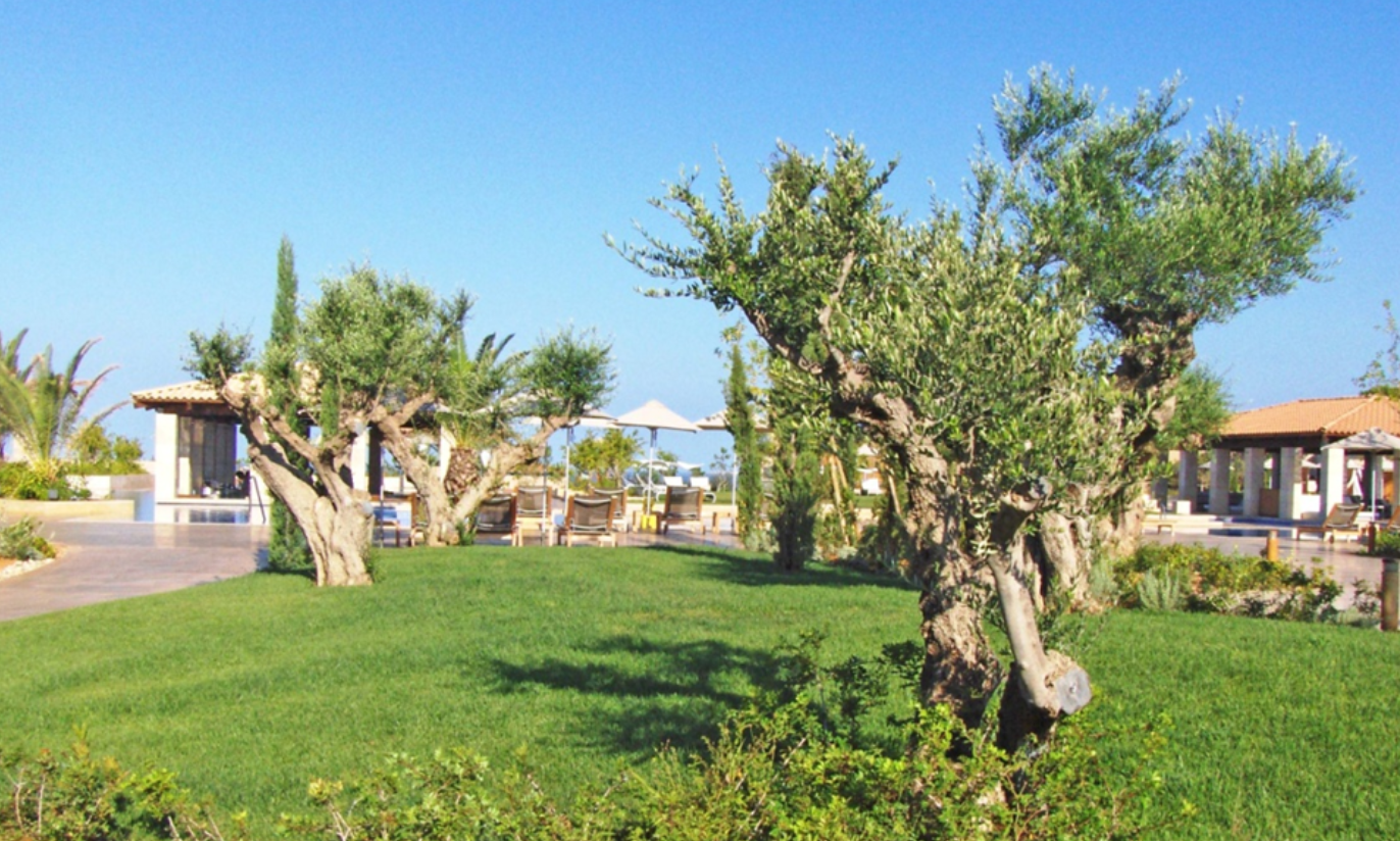 Ένας κήπος ξενοδοχείου, που αναδεικνύει τον βιώσιμο σχεδιασμό και τη διαχείριση χώρων πρασίνου.