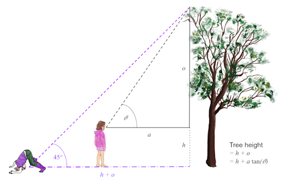 What does ecology have to do with digital making?