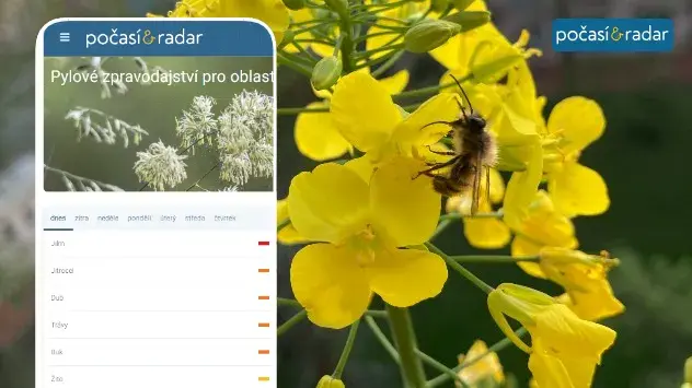 Aktuální pylové zpravodajství pro vámi zvolenou lokalitu naleznete v naší aplikaci.
