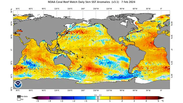 Sea Surface Temperature Anomalies Feb. 7, 2024