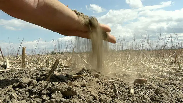 Die anhaltende Trockenheit im Sommer 2002 hinterlässt in vielen Regionen deutliche Spuren. 