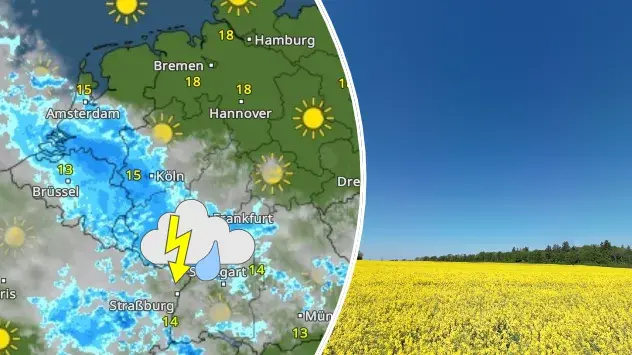 links: WetterRadar zeigt Regen und Gewitter - rechts: Rapsfeld unter blauem Himmel im Ostharz