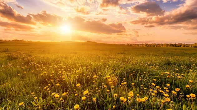 Sunce i livada