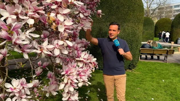 WetterReporter Marco vor blühendem Magnolienbaum