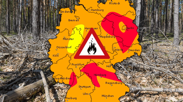 Vor allem im Osten sowie in Nordbayern ist die Waldbrandgefahr hoch.