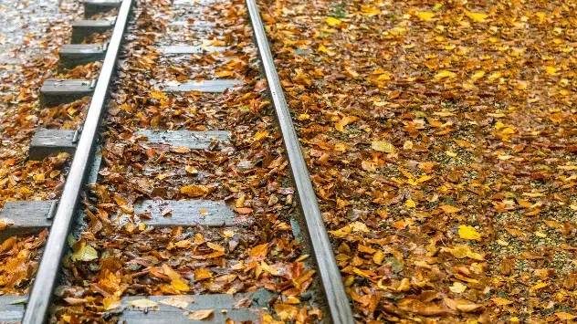 Damp leaves on railway line