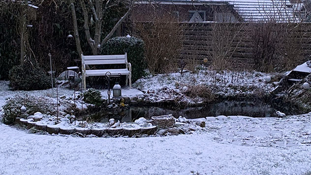 Garten leicht mit Schnee überzuckert