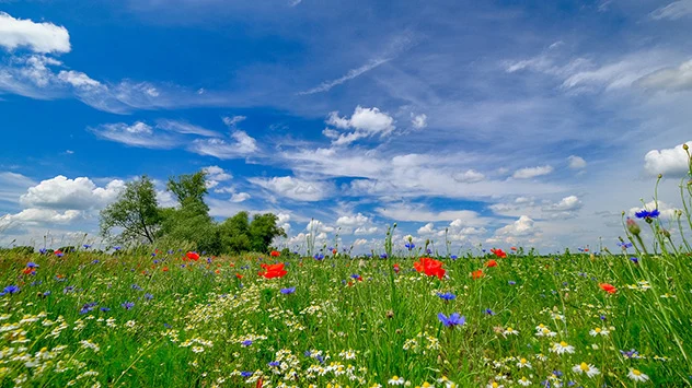 © Gabriele Klein ts