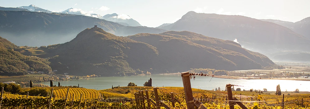Blick über goldene Rebhänge zum Kalterer See in der herbstlichen Landschaft der Südtiroler Weinstraße.