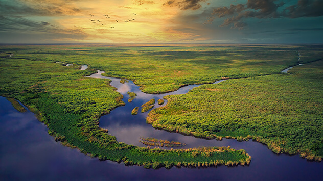 Dämmerung über den grünen Everglades