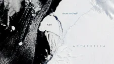 Iceberg A81