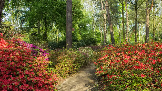 Rhododendronpark Bremen