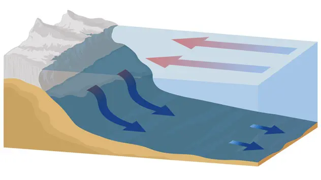 Deep ocean current from the Arctic to Antarctic.