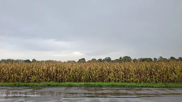 © Inapina Gola Regen Straße Feld Himmel Wolken