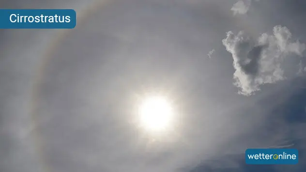 Schleierwolken bedecken als feiner Schleier Teile oder gleich den ganzen Himmel. Um die Sonne erscheint oft ein Ring (Halo). 