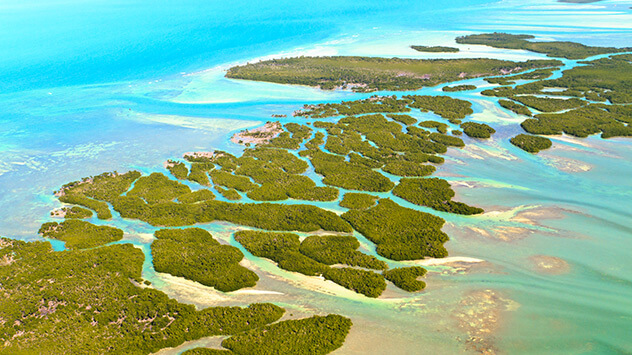 Blick auf grüne Inseln mit Korallenriffen im Meer