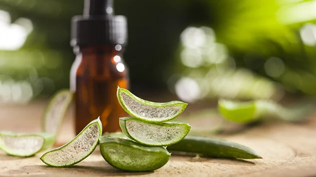 Flasche mit Aloe Vera Gel und angeschnittenen Blättern der Pflanze