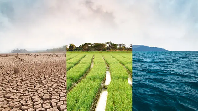 3-geteiltest Bild: ausgetrockneter Boden, landwirtschaftliche Fläche und Meer