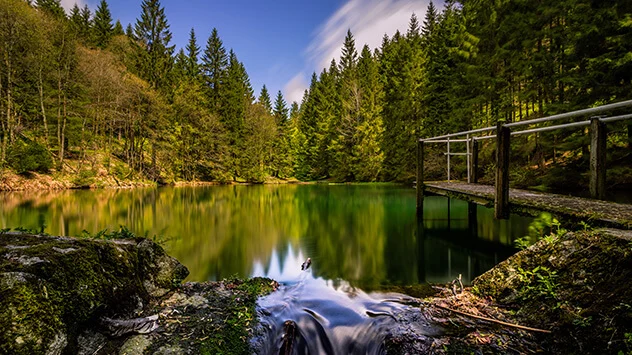 Teich mit Bach im Wald in Oberhof