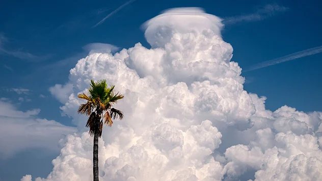 Eine kleine "Kappe" überzieht den Wolkenturm einer Cumulonimbus-Wolke.