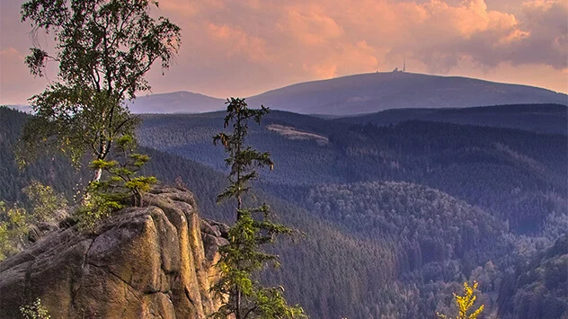Blick über den Nationalpark Harz