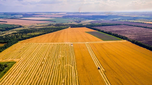 Eine Luftaufnahme zeigt abgeerntete Getreidefelder.