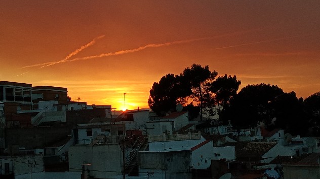 El incendio forestal en Taberna, Alicante, dejó el cielo cubierto de humo e incluso la ceniza apareció en zonas cercanas.