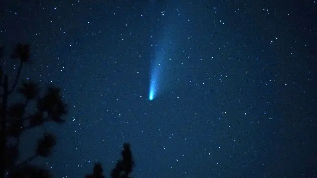 Comet seenoverhead