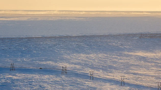 verschneite Tundraregion im Licht der tiefstehenden Sonne