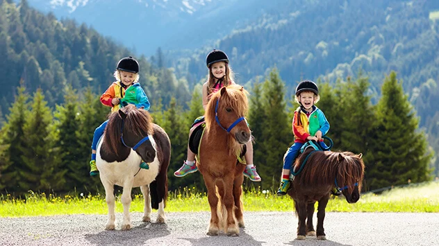 Ponyreiten in Bayern