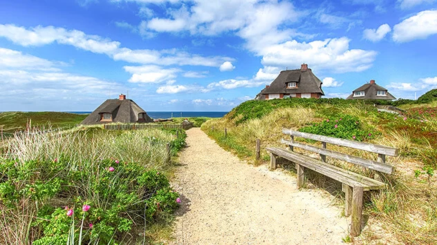 Dünenlandschaft mit Friesenhäusern auf Sylt