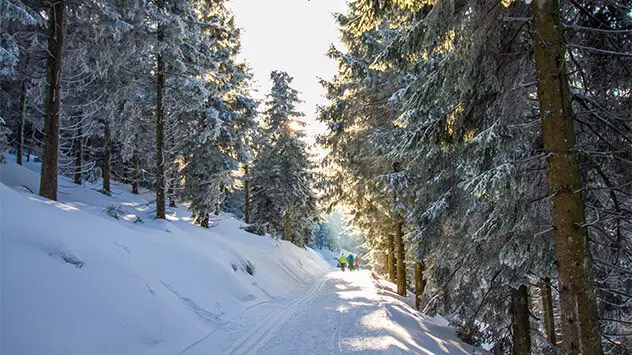 Verschneiter Wanderweg im Südschwarzwald