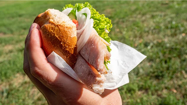 Fischbrötchen mit Matjes