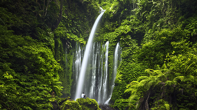Mann beobachtet Wasserfall im Regenwald Lomboks