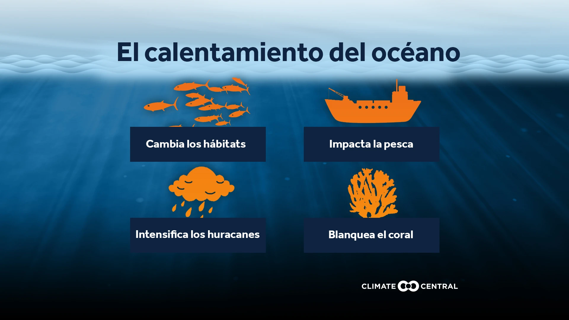 Impactos del calentamiento del océano.