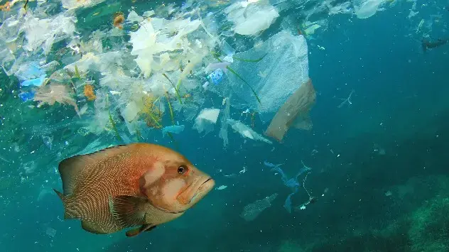 забруднення океанів
