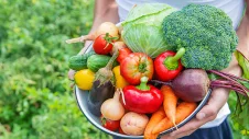 Korb mit frischem Obst und Gemüse im Sommer